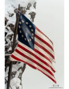 Assassin´s Creed Estatua 1/4 Animus Connor 65 cm 2