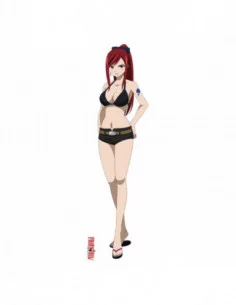 Fairy Tail Dakimakura funda de almohada Erza Scarlet 2
