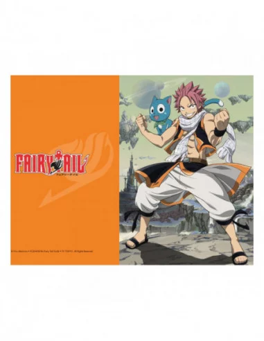 Fairy Tail Set de 3 Fundas transparentes 01