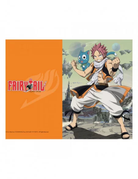 Fairy Tail Set de 3 Fundas transparentes 01