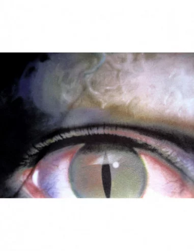 Resident Evil 2 Toalla Nozoki 150 x 75 cm