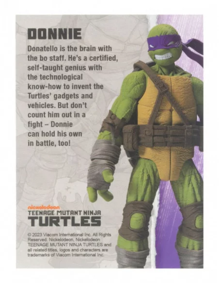 Tortugas Ninja Figura BST AXN Donatello (IDW Comics) 13 cm Tortugas Ninja Figura BST AXN Donatello (IDW Comics) 13 cm
