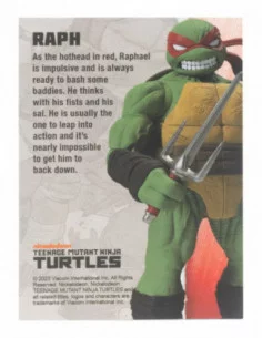 Tortugas Ninja Figura BST AXN Raphael (IDW Comics) 13 cm 2