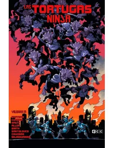 es::Las Tortugas Ninja vol. 19