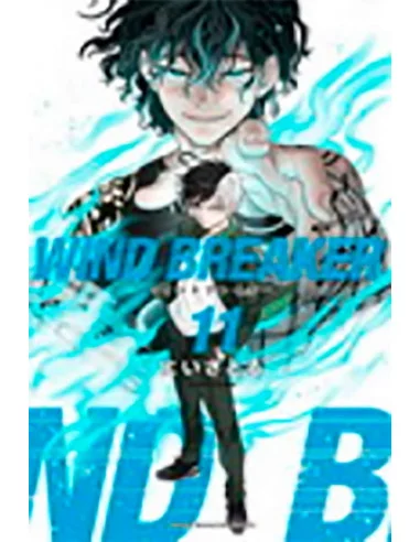 es::Wind Breaker Vol. 11
