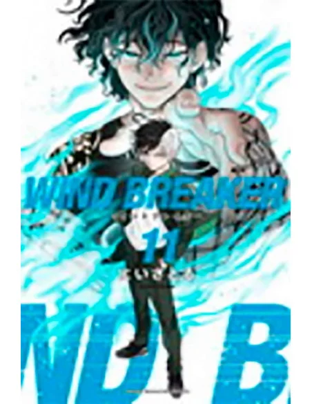 es::Wind Breaker Vol. 11
