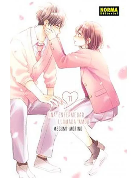 es::Una enfermedad llamada amor 11
