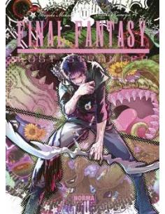 es::Final Fantasy. Lost Stranger 11