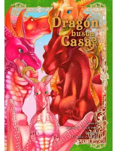 es::Dragón busca casa 09