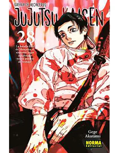 es::Jujutsu Kaisen 28
