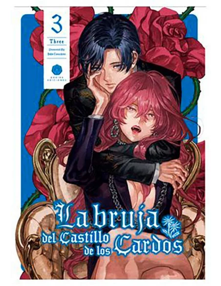 es::La bruja del castillo de los cardos 03