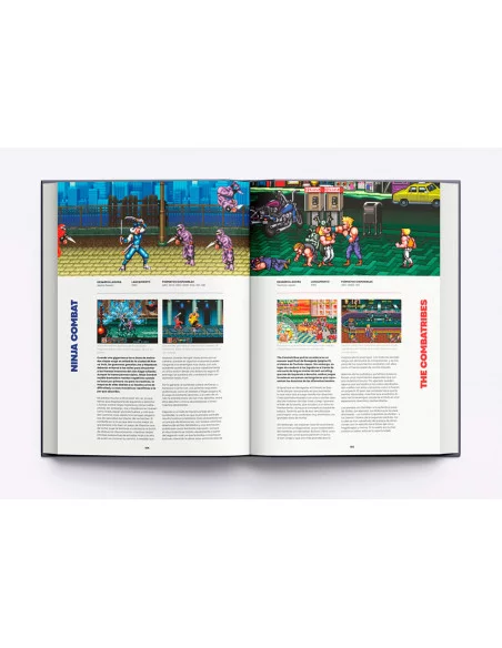 es::Go Straight. La guía definitiva de los Beat'em ups es::Go Straight. La guía definitiva de los Beat'em ups