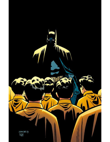 es::Batman y Robin: Año Uno 11