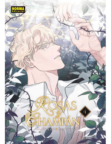 es::Rosas y Champán 04