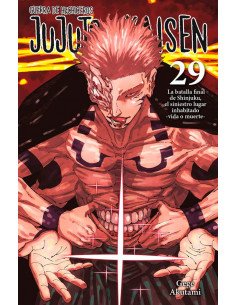 es::Jujutsu Kaisen 29