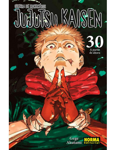 es::Jujutsu Kaisen 30