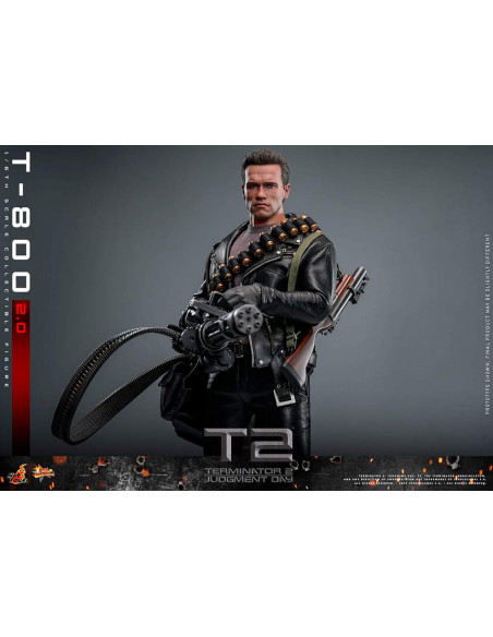 es::Figura T-800 Battle 2.0 (Terminator 2) Hot Toys