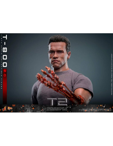 es::Figura T-800 Battle 2.0 (Terminator 2) Hot Toys