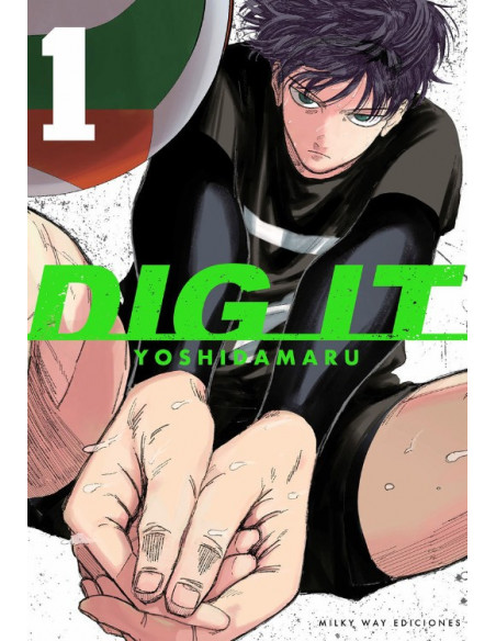 es::Dig It 01
