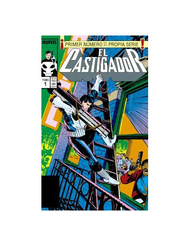 es::El Castigador 01 (Marvel Limited Edition)
