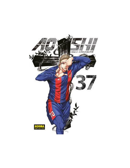 es::Ao Ashi 37