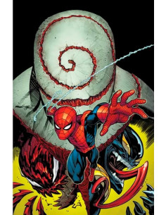 es::El Asombroso Spiderman 08 (260)