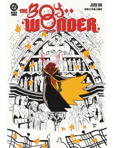 es::DC Black Label. The Boy Wonder