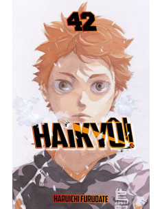 es::Haikyû!! 42 (de 45)