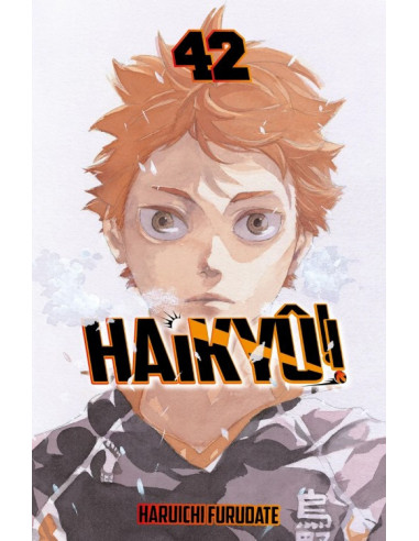 es::Haikyû!! 42 (de 45)