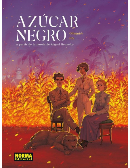 es::Azúcar Negro