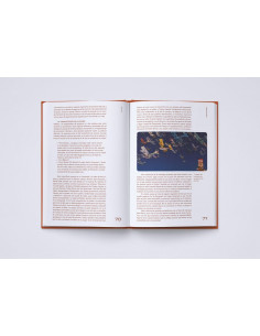 es::Biblioteca Ghibli Porco Rosso 2
