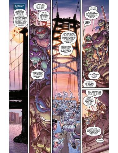 es::Teenage Mutant Ninja Turtles 03. Ujigami