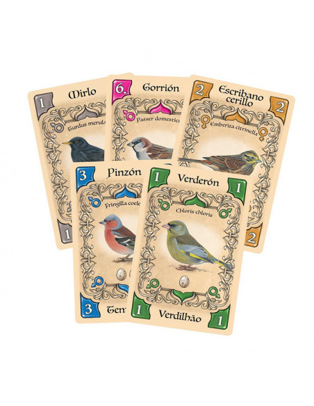 es::Pájaros cantores-Juego de cartas