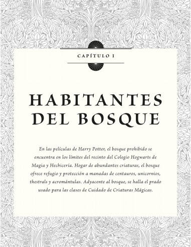 es::Harry Potter: Los archivos de las películas 1. Criaturas del bosque, del lago y voladoras