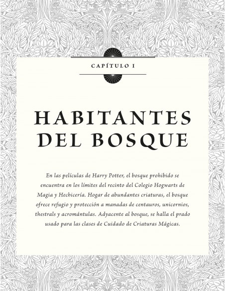 es::Harry Potter: Los archivos de las películas 1. Criaturas del bosque, del lago y voladoras