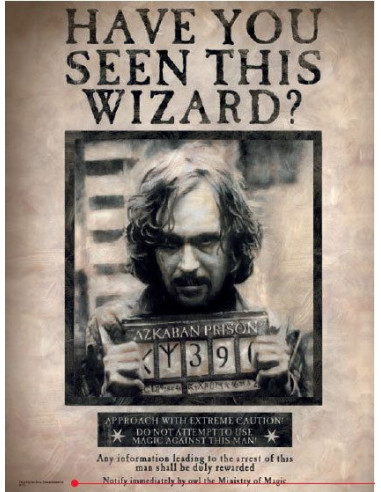 es::Harry Potter Póster de Vidrio Sirius 'Have you seen this wizard?' 30 x 40 cm