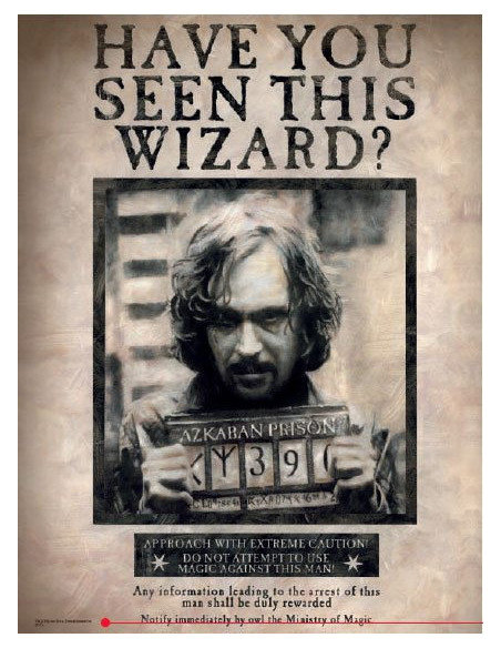 es::Harry Potter Póster de Vidrio Sirius 'Have you seen this wizard?' 30 x 40 cm