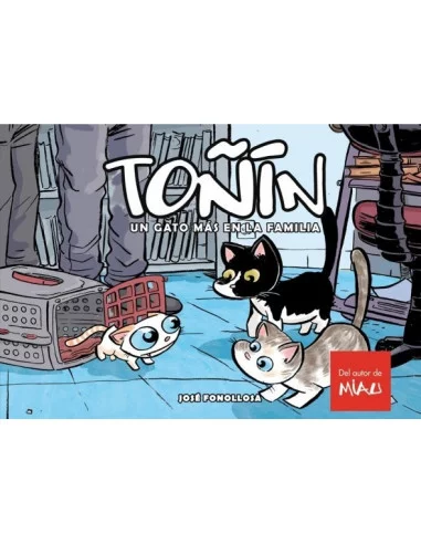 es::Toñín. Un gato más en la familia