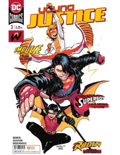 es::Young Justice 03