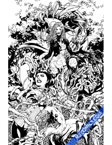es::Jesús Saiz: Birds Of Prey 3 Cover Comic original art