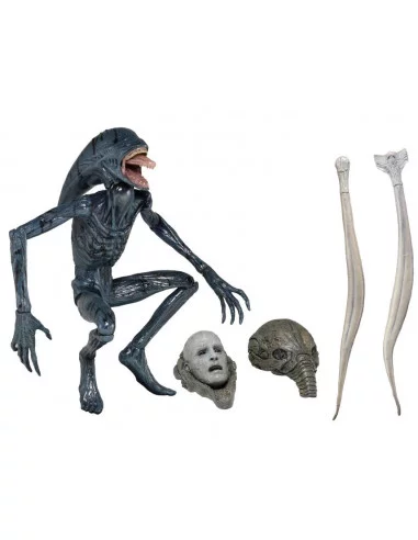 es::Prometheus Serie 2: Figura Deacon