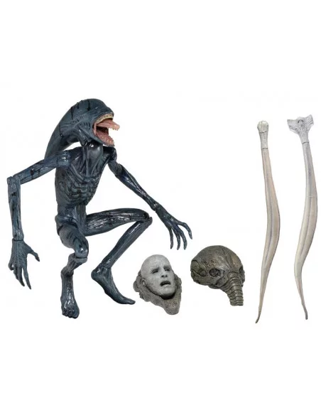 es::Prometheus Serie 2: Figura Deacon