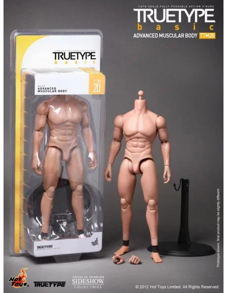 es::True Type Basic Figura 1/6 Ttm20 Advanced Muscular Body 30 Cm