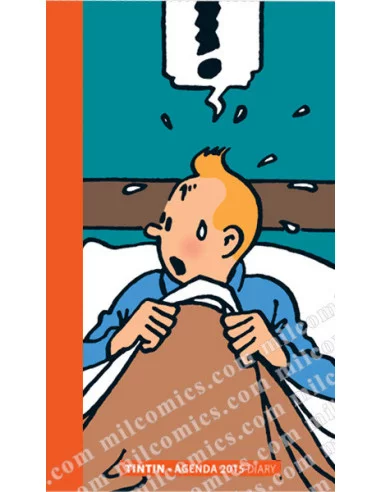 es::Agenda Tintín 2015 Bolsillo: Sueño y fantasía