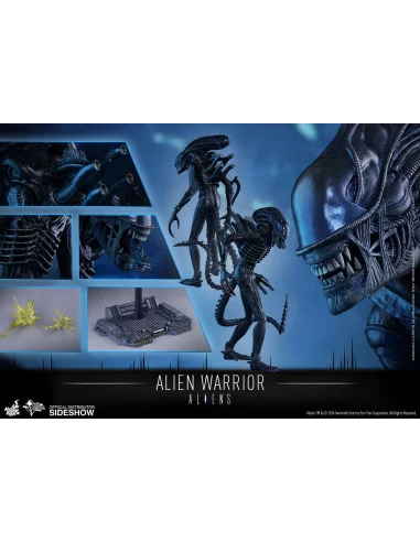 es::Aliens Figura 1/6 Alien Warrior Hot Toys 35 cm