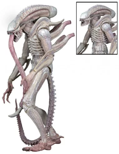 es::Aliens Serie 9 Figura Concept Albino Alien 18 cm
