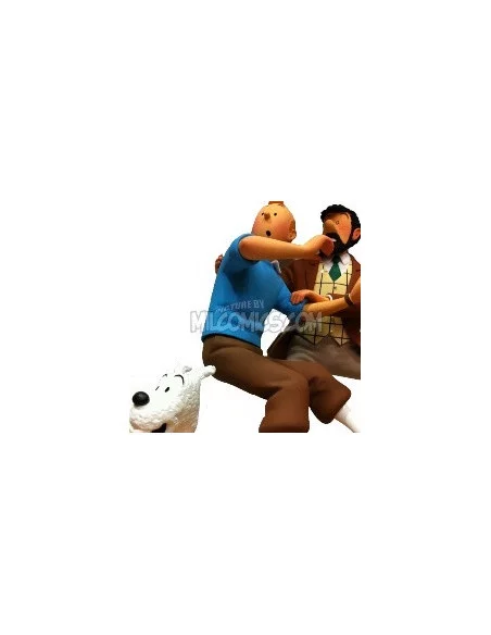 es::Moule À Gaufres - Figura Tintín Privilege