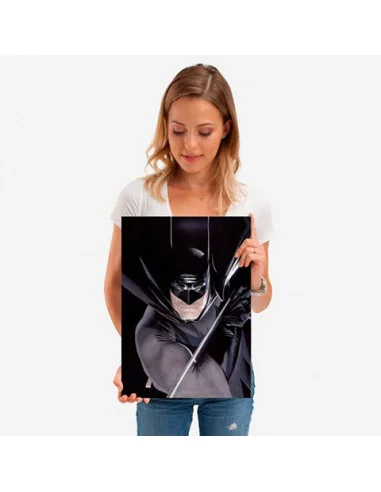 es::DC Comics Póster de metal Batman Trinidad DC - Alex Ross 45 x 32 cm