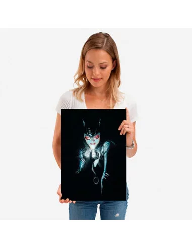 es::DC Comics Póster de metal Catwoman - Alex Ross 45 x 32 cm