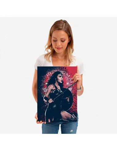 es::DC Comics Póster de metal Wonder Woman JL - Alex Ross 45 x 32 cm
